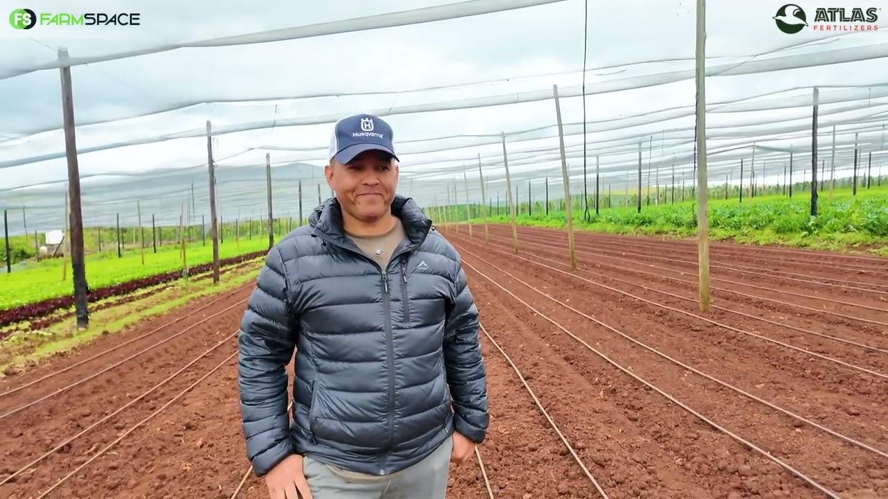 Is goedkoper kunsmis regtig goedkoper as jou grond, kwaliteit en opbrengs daaronder ly? | Atlas
