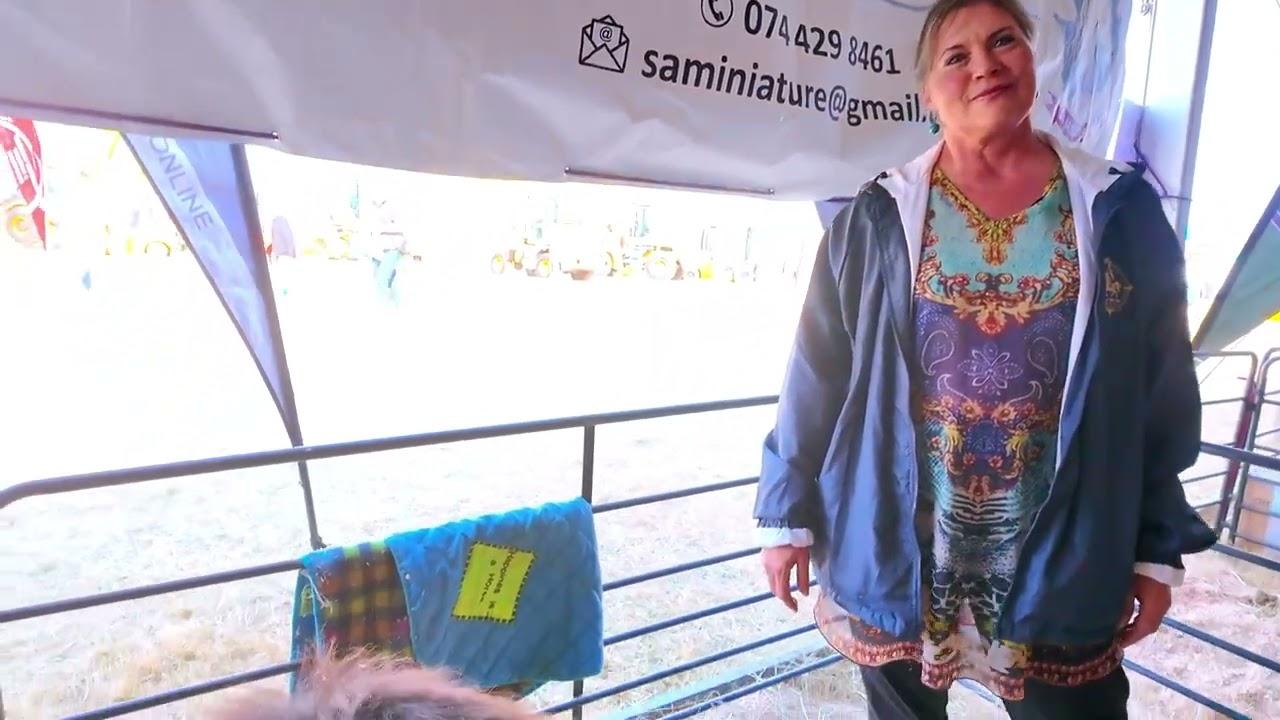 Miniatuurperd of ponie? Dít is die verskil! | KragDag 2026