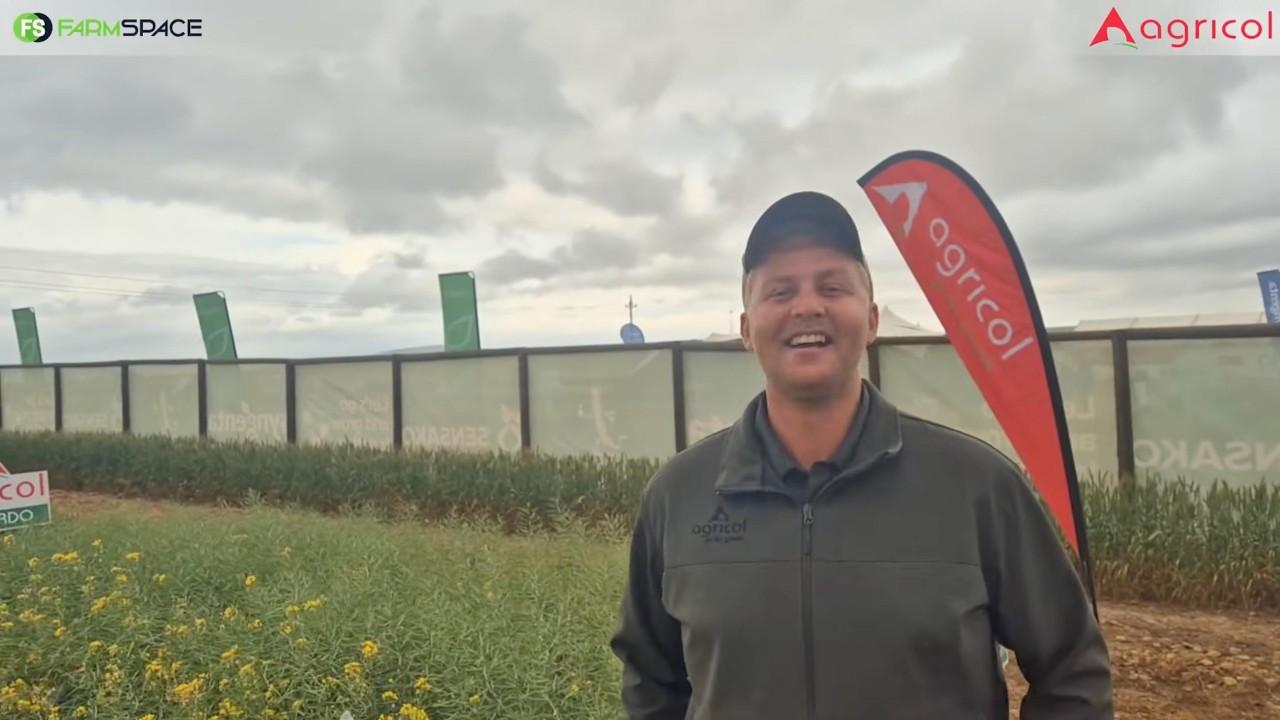 Agricol se Kanola-genetika: Kies die regte kultivar vir jou grond