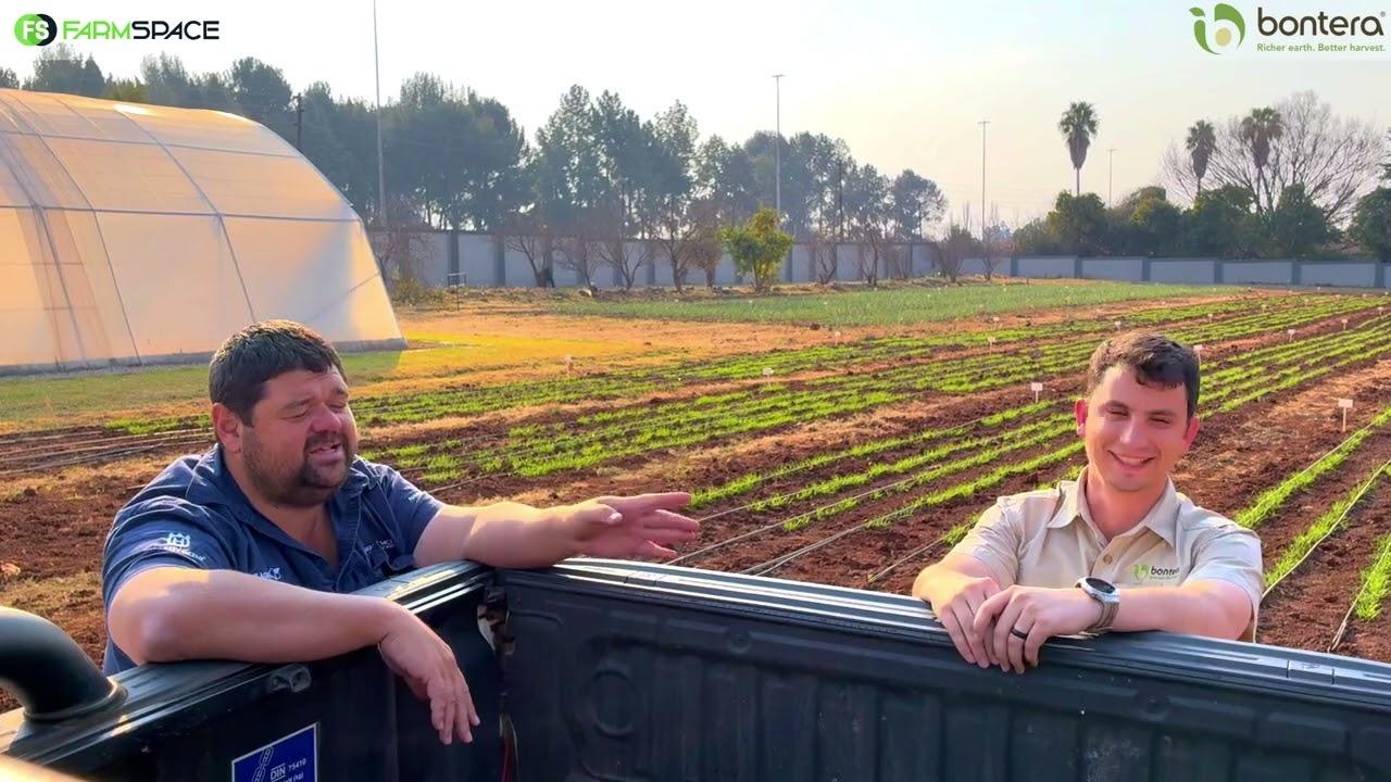 Wat kan mens vandag doen vir 'n beter toekomstige sitrus- en makadamia-oes?